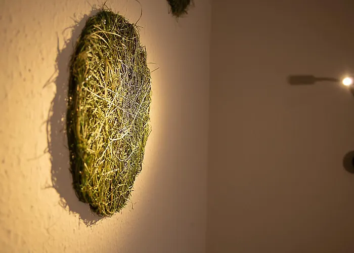 Berger's Bergsicht by edita